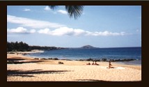 Photograph of Maui beach_ no link