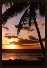 Photograph of Maui sunset_ no link