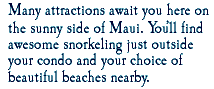 Many attractions await you here on the sunny side of Maui. You'll find awesome snorkeling just outside your condo and your choice of beautiful beaches nearby.